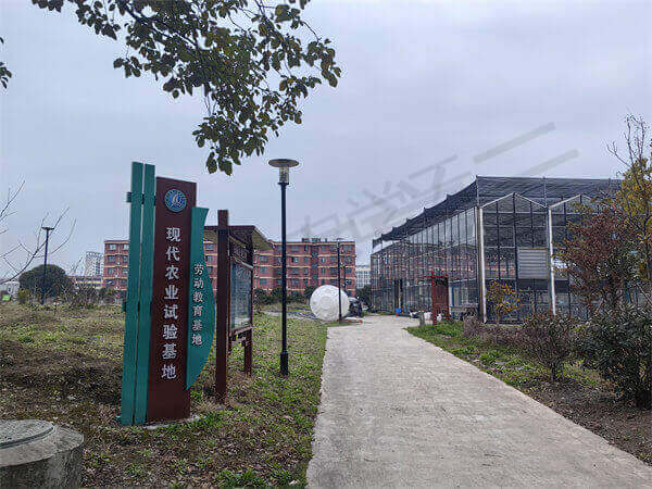 案例展示插图8