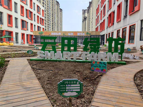 案例展示插图1